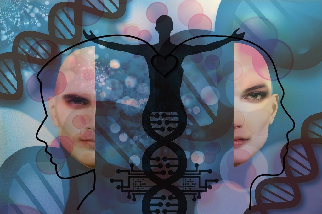 Archetypes and Renewal: Discovering the Story of Your Life