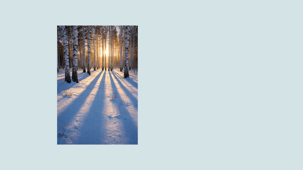 Annual Meeting & Spring Retreat: The Collective and Personal Shadow – Jungian Strand